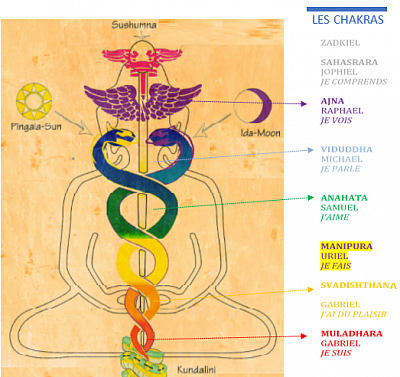 les chakras